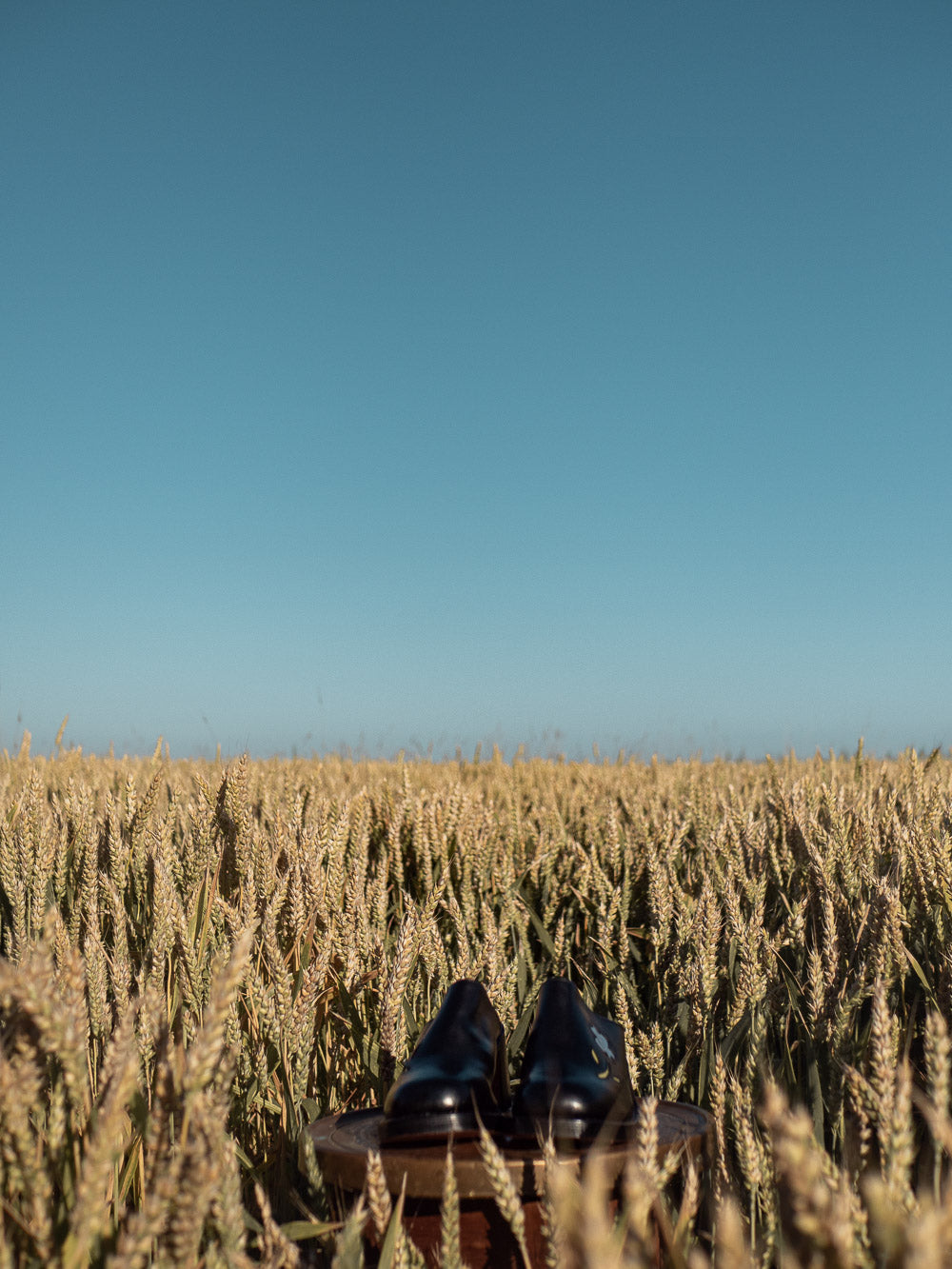 Sendra flower clogs mules black