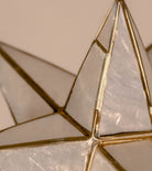 Stars light from pearl dandelie